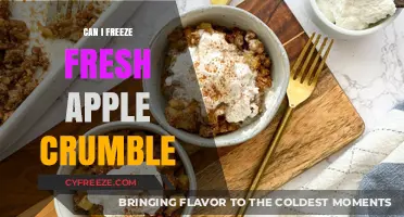 From Oven to Freezer: The Ultimate Guide to Freezing Fresh Apple Crumble