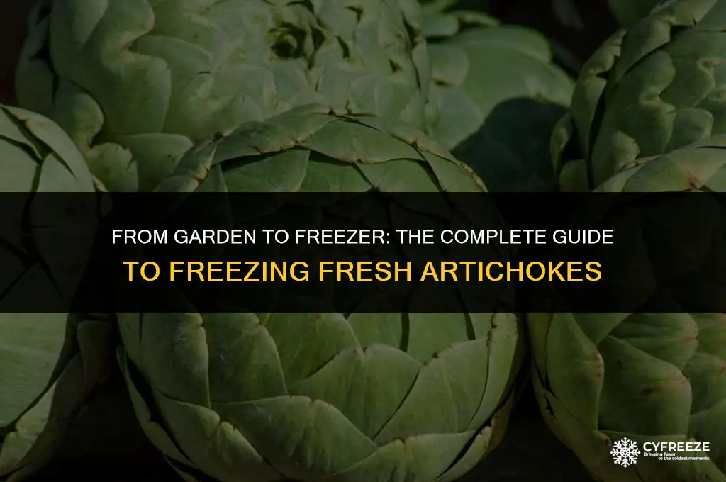 can i freeze fresh artichokes
