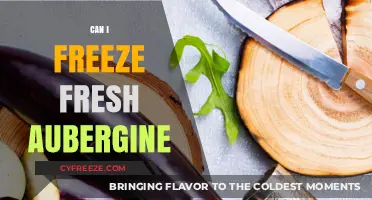 Fresh to Frozen: The Ultimate Guide to Freezing Aubergine