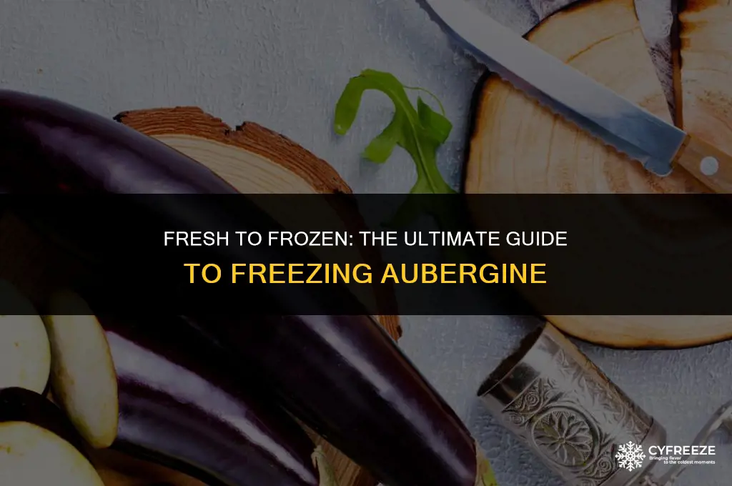 can i freeze fresh aubergine