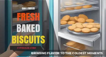 Preserving Freshness: The Ultimate Guide to Freezing Homemade Biscuits