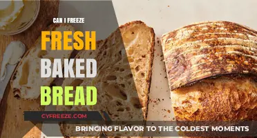 From Oven to Freezer: The Ultimate Guide to Preserving Fresh Baked Bread