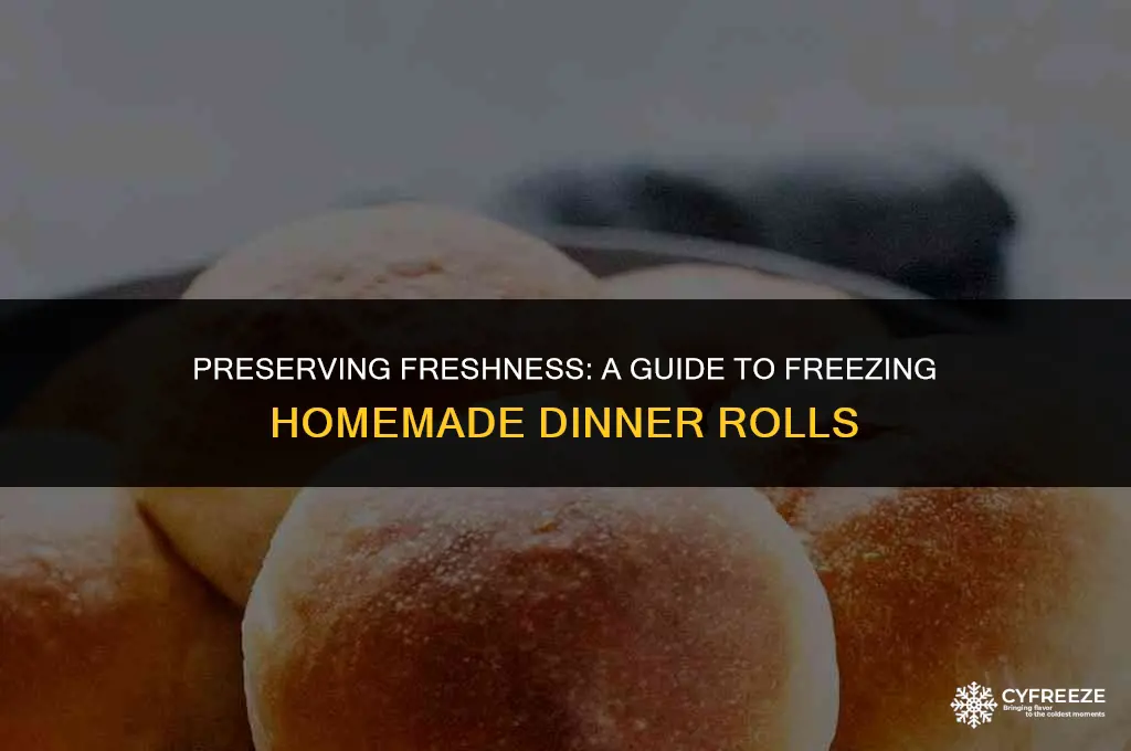can i freeze fresh baked dinner rolls