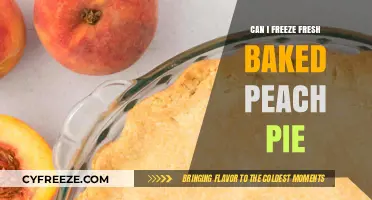 Peach Pie Perfection: Tips for Freezing Freshly Baked Delights