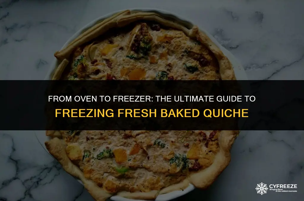 can i freeze fresh baked quiche