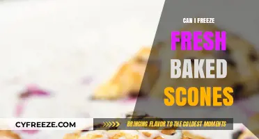 From Oven to Freezer: The Ultimate Guide to Freezing Fresh Baked Scones