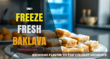 Sweet Preservation: The Ultimate Guide to Freezing Fresh Baklava