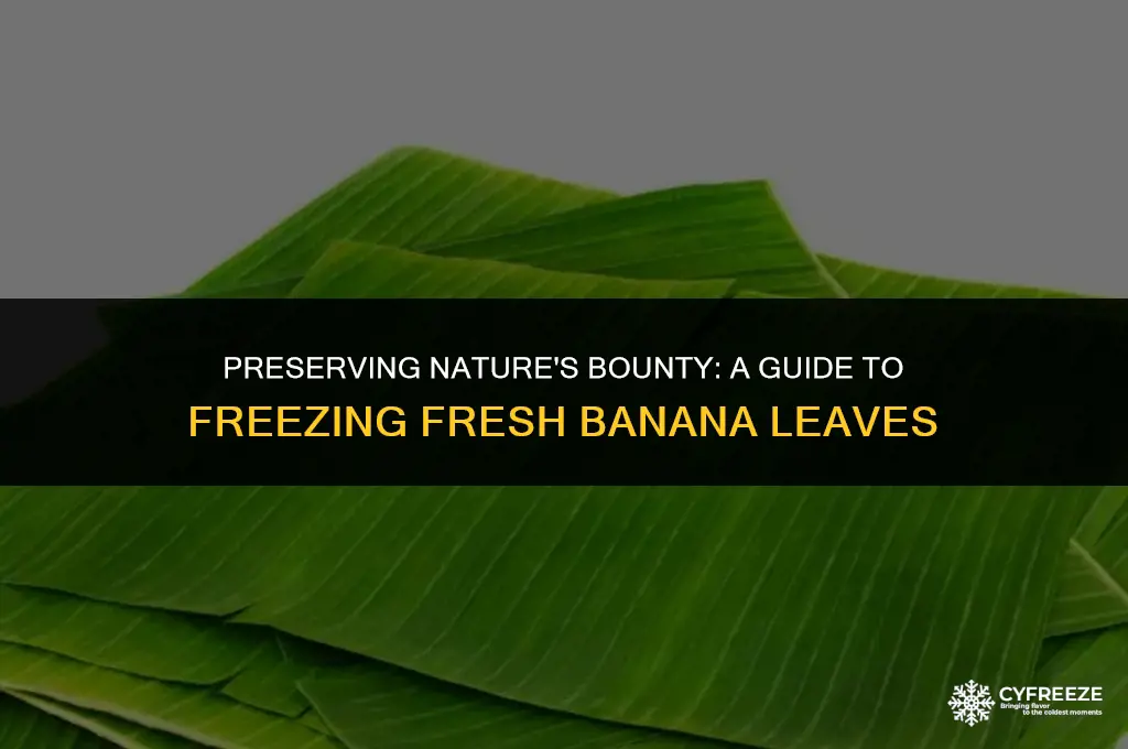 can i freeze fresh banana leaves