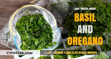 Preserve Freshness: Freezing Basil and Oregano Made Easy