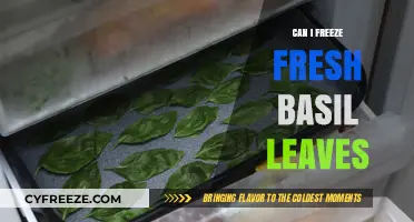 Preserve Freshness: The Ultimate Guide to Freezing Basil Leaves