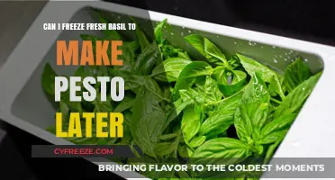 Preserve Fresh Basil: A Guide to Freezing for Future Pesto
