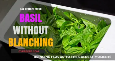 Preserve Fresh Basil: Freezing Without Blanching - A Simple Guide