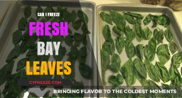 Preserve the Flavor: Freezing Fresh Bay Leaves for Year-Round Use