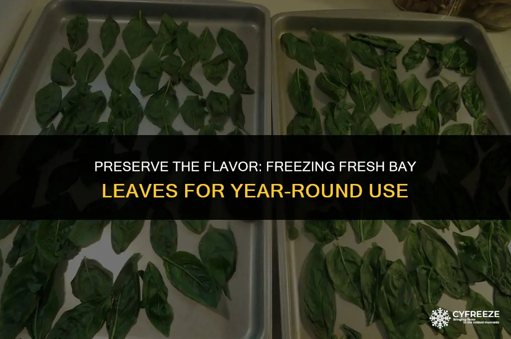 can i freeze fresh bay leaves