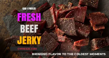 Preserving Freshness: Can You Freeze Beef Jerky?