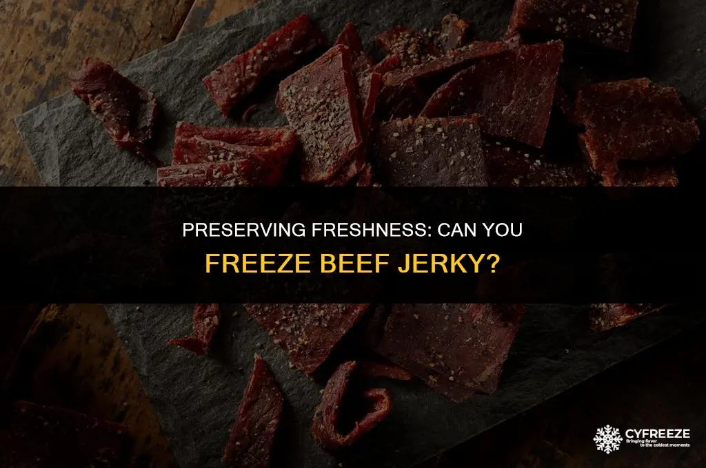 can i freeze fresh beef jerky