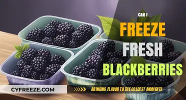 Preserve the Flavor: A Guide to Freezing Fresh Blackberries