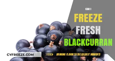 Fresh Blackcurrants: The Ultimate Guide to Freezing and Preserving