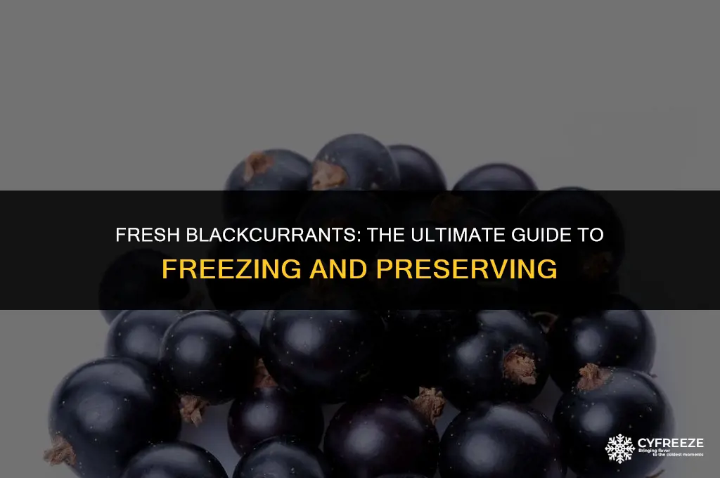 can i freeze fresh blackcurrants