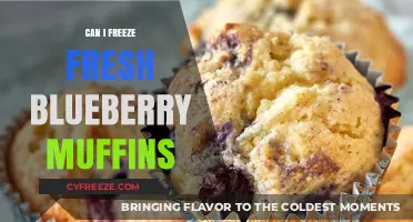 Preserving Freshness: The Ultimate Guide to Freezing Blueberry Muffins