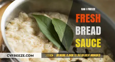 From Fresh to Frozen: The Ultimate Guide to Freezing Bread Sauce