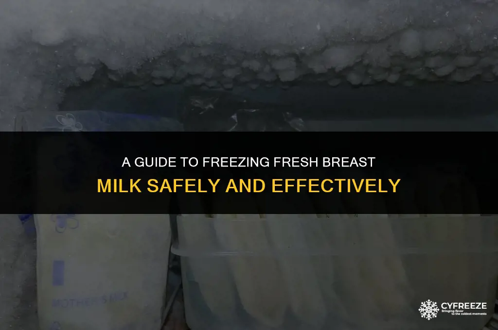 can i freeze fresh breast milk