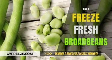 Broad Bean Bonanza: Freezing Freshness for Year-Round Enjoyment