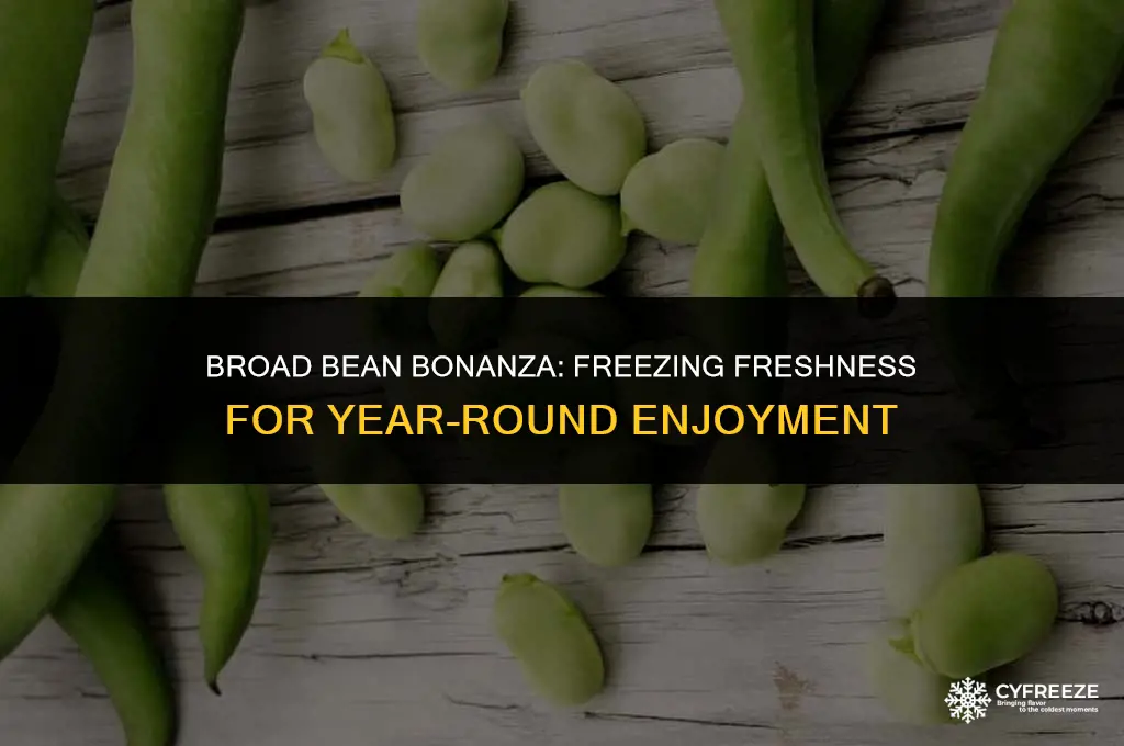 can i freeze fresh broadbeans