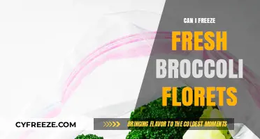 Fresh Broccoli Florets: A Comprehensive Guide to Freezing