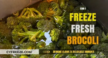 Fresh Broccoli: The Ultimate Guide to Freezing for Longevity