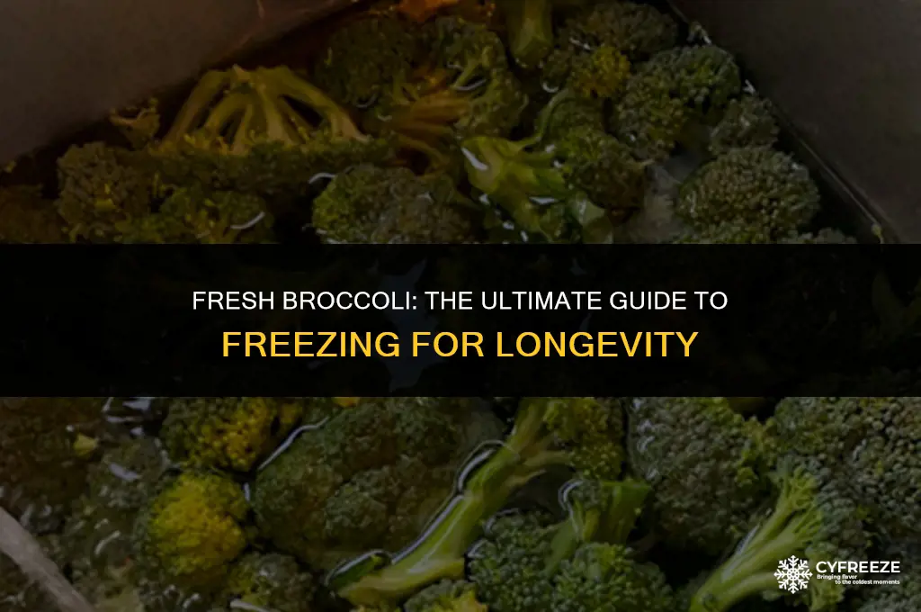 can i freeze fresh brocoli