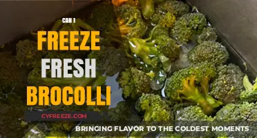 Fresh to Frozen: The Ultimate Guide to Freezing Broccoli