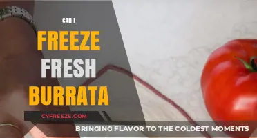 From Fresh to Frozen: A Guide to Freezing Burrata Cheese
