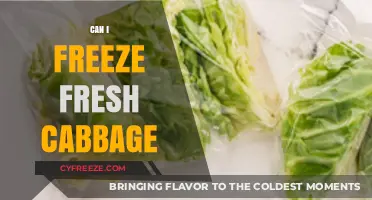 From Garden to Freezer: The Complete Guide to Freezing Fresh Cabbage