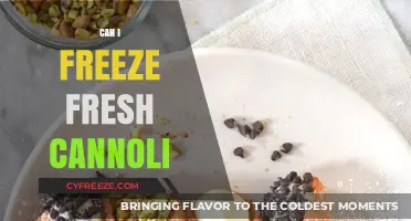 From Cream to Freeze: A Guide to Preserving Fresh Cannoli