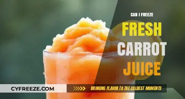 Preserve the Freshness: A Guide to Freezing Carrot Juice