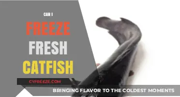 Fresh Catfish Freezing Guide: Preserve Your Catch for Future Meals