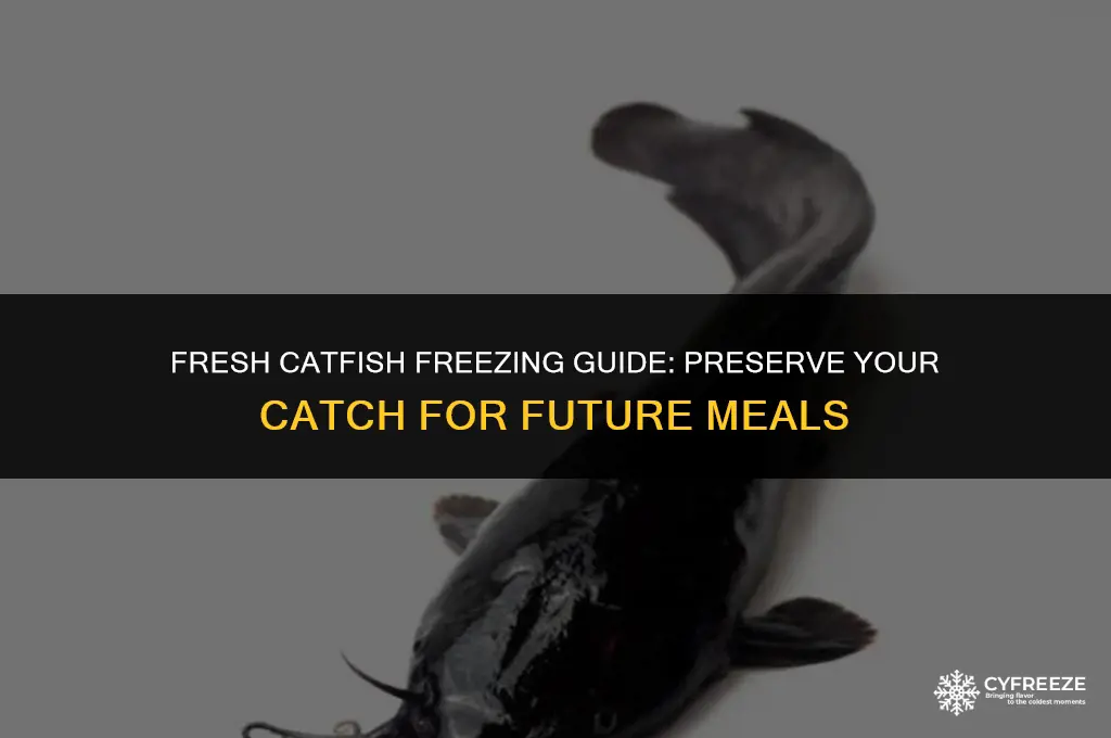 can i freeze fresh catfish