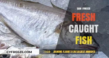Fresh Catch, Future Feast: The Ultimate Guide to Freezing Fish