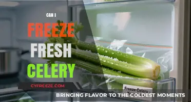 Fresh Celery Freezing Guide: Preserve Your Greens with Ease