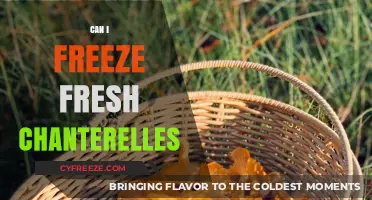 Preserving Nature's Bounty: A Guide to Freezing Fresh Chanterelles