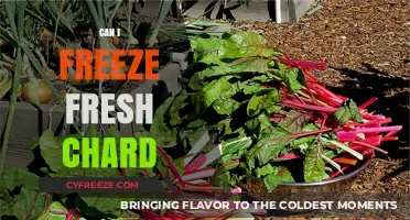 Preserve the Freshness: A Guide to Freezing Chard