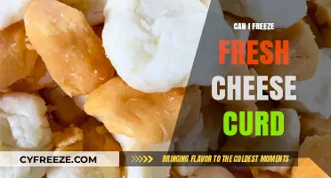 From Farm to Freezer: The Ultimate Guide to Preserving Fresh Cheese Curd