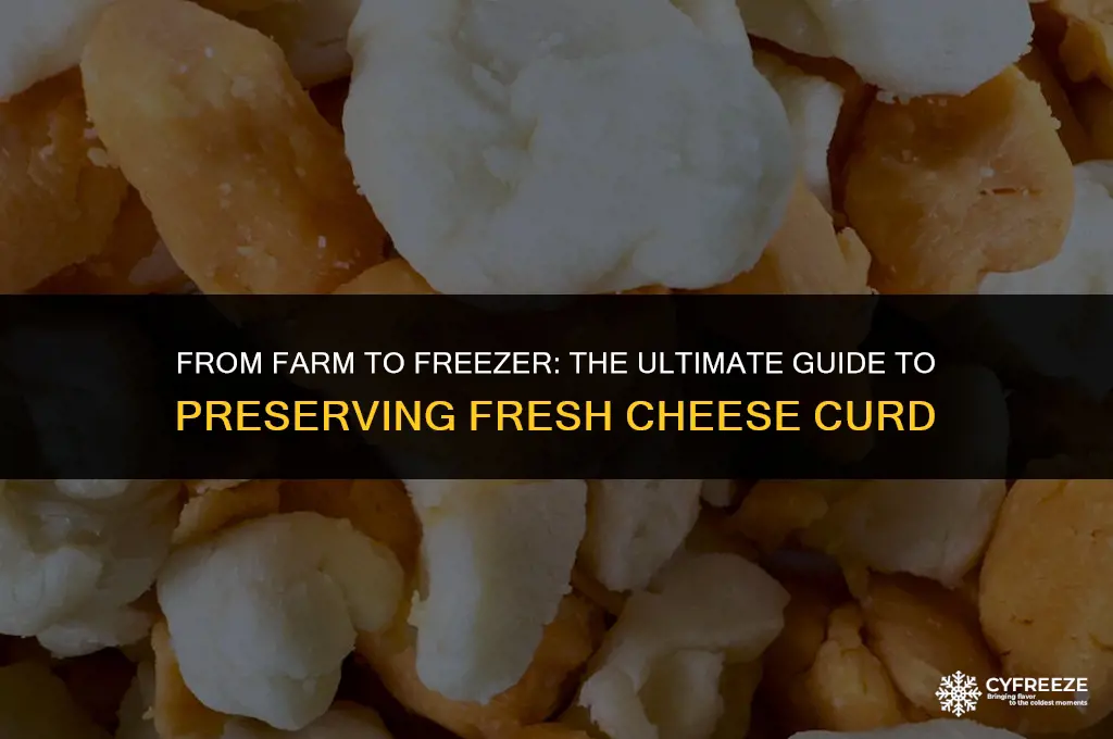 can i freeze fresh cheese curd