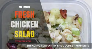Fresh to Frozen: The Ultimate Guide to Freezing Chicken Salad