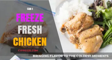 From Farm to Freezer: The Complete Guide to Freezing Fresh Chicken