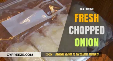Preserve the Flavor: Freezing Fresh Chopped Onions Made Easy