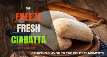From Oven to Freezer: The Fresh Ciabatta Storage Guide
