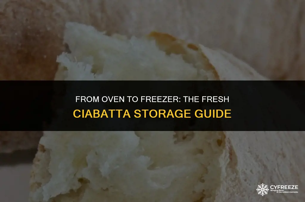 can i freeze fresh ciabatta