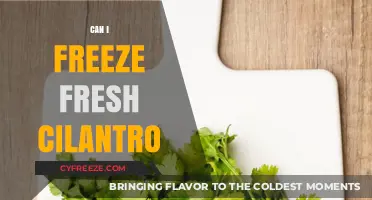 Preserve Freshness: The Ultimate Guide to Freezing Cilantro